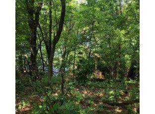 LOT 5 Eagle Point Road Menomonie, WI 54751