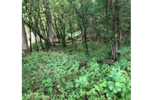 LOT 5 Eagle Point Road, Menomonie, WI 54751