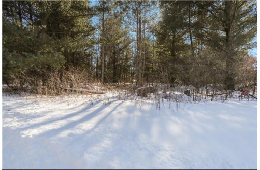 LOT 44 Butternut Drive, Strum, WI 54770