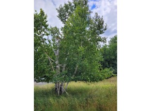 XXX LOT 2.8 Tony Street Osceola, WI 54020