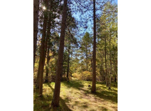 LOT 22 Golden Eagle Trail Barnes, WI 54873