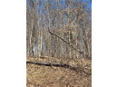 LOT 16 Wilderness Hills Lane, Luck, WI 54853