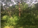 LOT 2 Hwy D, Colfax, WI 54730