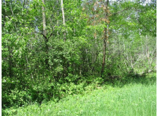 LOT #16 BLOCK 25 Eden Avenue Birchwood, WI 54817