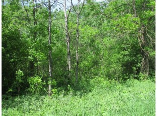 LOT #17, BLOCK 25 Eden Avenue Birchwood, WI 54817