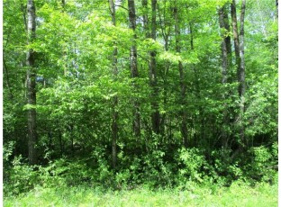 LOT #19, BLOCK #25 Eden Avenue Birchwood, WI 54817