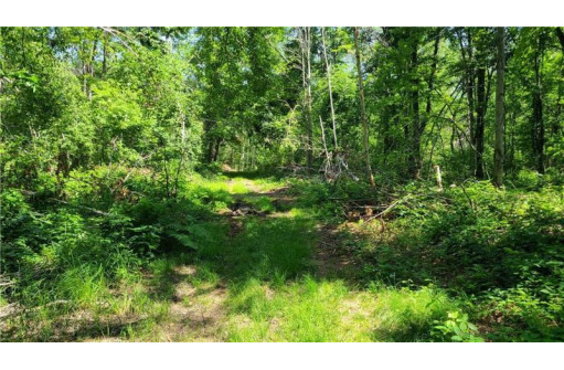 123 Timber Trail, Ladysmith, WI 54848