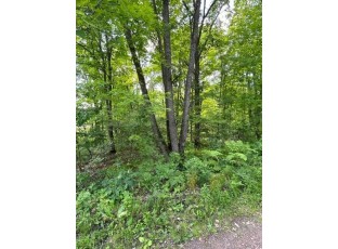 0 Wild Wood Lane Birchwood, WI 54817