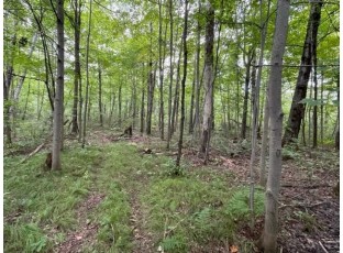 LOT 1 13 1/4 Street Rice Lake, WI 54868