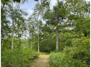 LOT 2 13 1/4 Street Rice Lake, WI 54868