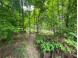 LOT 4 Ironwood Street Barron, WI 54812