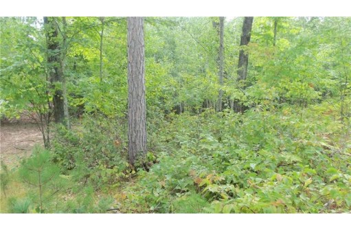 LOT 8 Cty Hwy H, Webster, WI 54893