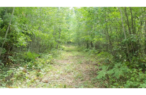 LOT 8 Cty Hwy H, Webster, WI 54893