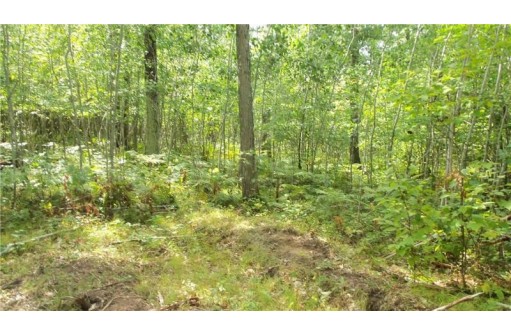 LOT 8 Cty Hwy H, Webster, WI 54893