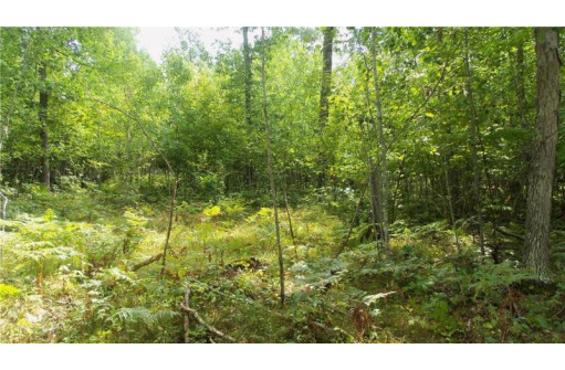 LOT 8 Cty Hwy H, Webster, WI 54893