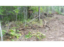 LOT 8 Cty Hwy H, Webster, WI 54893