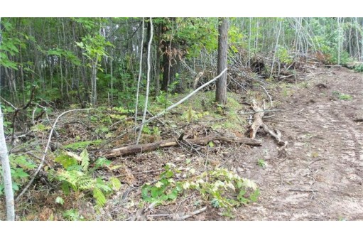 LOT 8 Cty Hwy H, Webster, WI 54893