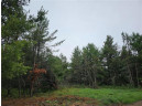 LOT 1 County Road Ff, Webster, WI 54893