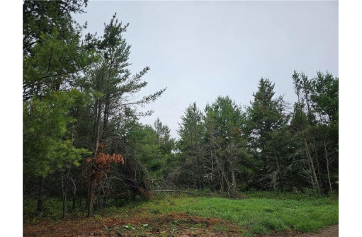 LOT 1 County Road Ff, Webster, WI 54893