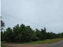 LOT 1 County Road Ff, Webster, WI 54893