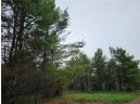 LOT 1 County Road Ff, Webster, WI 54893