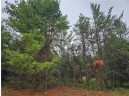 LOT 1 County Road Ff, Webster, WI 54893