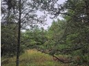 LOT 1 County Road Ff, Webster, WI 54893