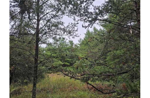 LOT 1 County Road Ff, Webster, WI 54893