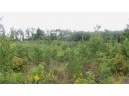 LOT 2 High Ridge Trl, Webster, WI 54893