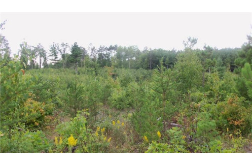 LOT 2 High Ridge Trl, Webster, WI 54893