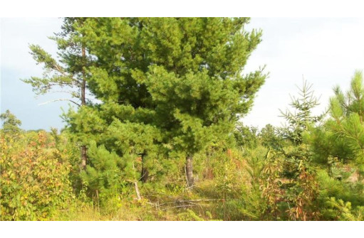 LOT 4 High Ridge Trl, Webster, WI 54893