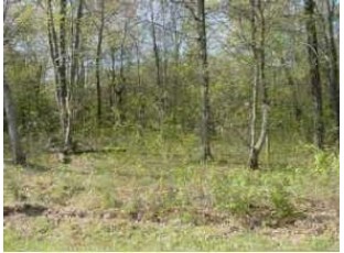 LOT 2 9th Ave Chetek, WI 54728