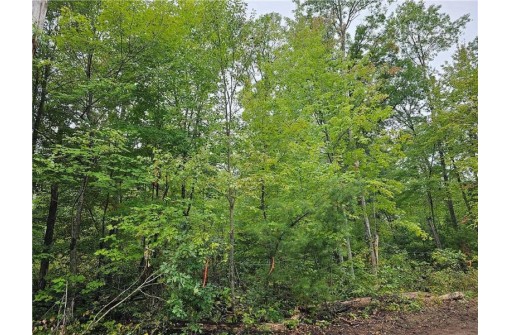 LOT 6 Maria'S Way, Webster, WI 54893