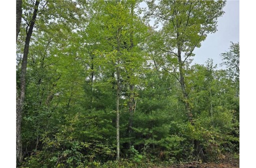 LOT 3 Maria'S Way, Webster, WI 54893