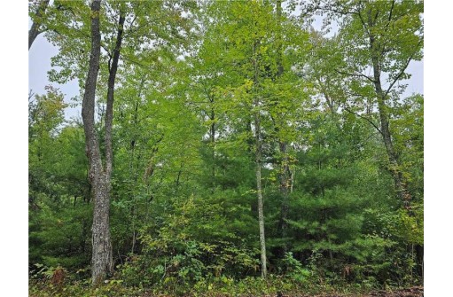 LOT 3 Maria'S Way, Webster, WI 54893