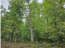 LOT 2 Maria'S Way, Webster, WI 54893