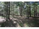 5 ACRES Olsen Road, Webster, WI 54893