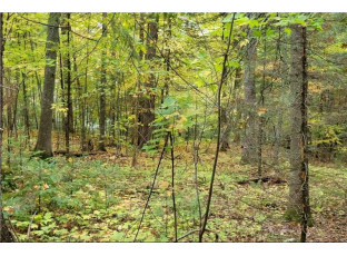 LOT 4 Oak Ridge Drive Cable, WI 54821