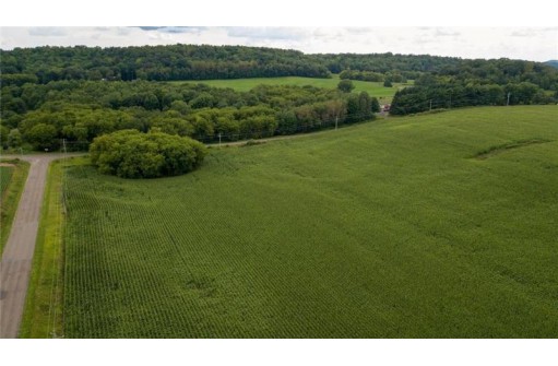 65.25 ACRES 550th Street, Menomonie, WI 54751