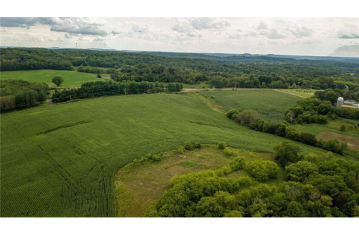 65.25 ACRES 550th Street, Menomonie, WI 54751