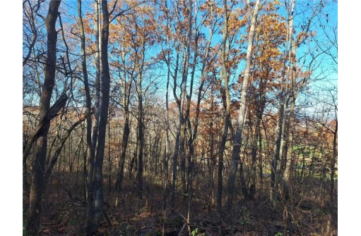 LOT 0 Parker Road, Mondovi, WI 54755