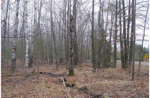 25 Acres On Mae West Road, Ladysmith, WI 54848