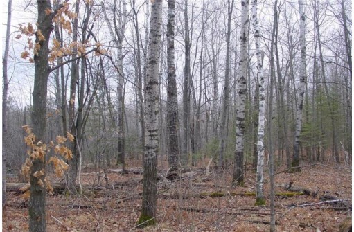 25 Acres On Mae West Road, Ladysmith, WI 54848