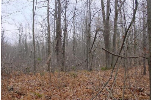 25 Acres On Mae West Road, Ladysmith, WI 54848