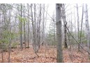 25 Acres On Mae West Road, Ladysmith, WI 54848