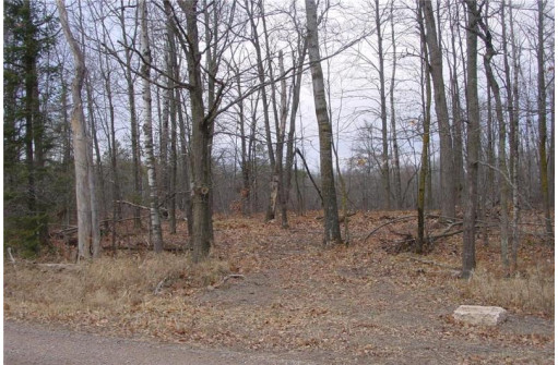 25 Acres On Mae West Road, Ladysmith, WI 54848