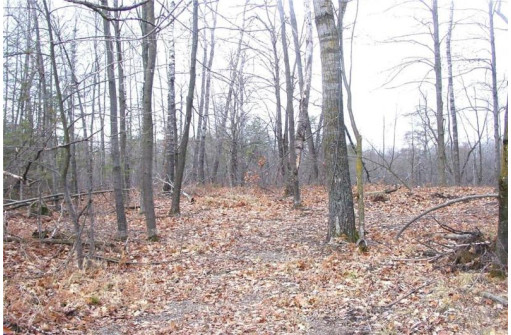 25 Acres On Mae West Road, Ladysmith, WI 54848