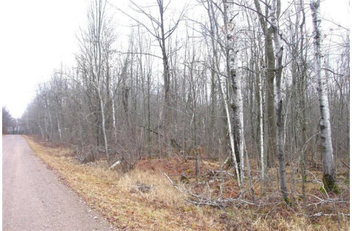 25 Acres On Mae West Road, Ladysmith, WI 54848