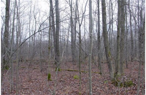 25 Acres On Mae West Road, Ladysmith, WI 54848