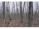 25 Acres On Mae West Road, Ladysmith, WI 54848